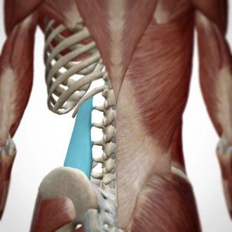 Die Schmerzen können in verschiedenen Bereichen des Rückens auftreten. 