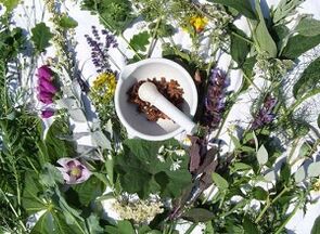 Kräuter zur Behandlung von Osteochondrose.